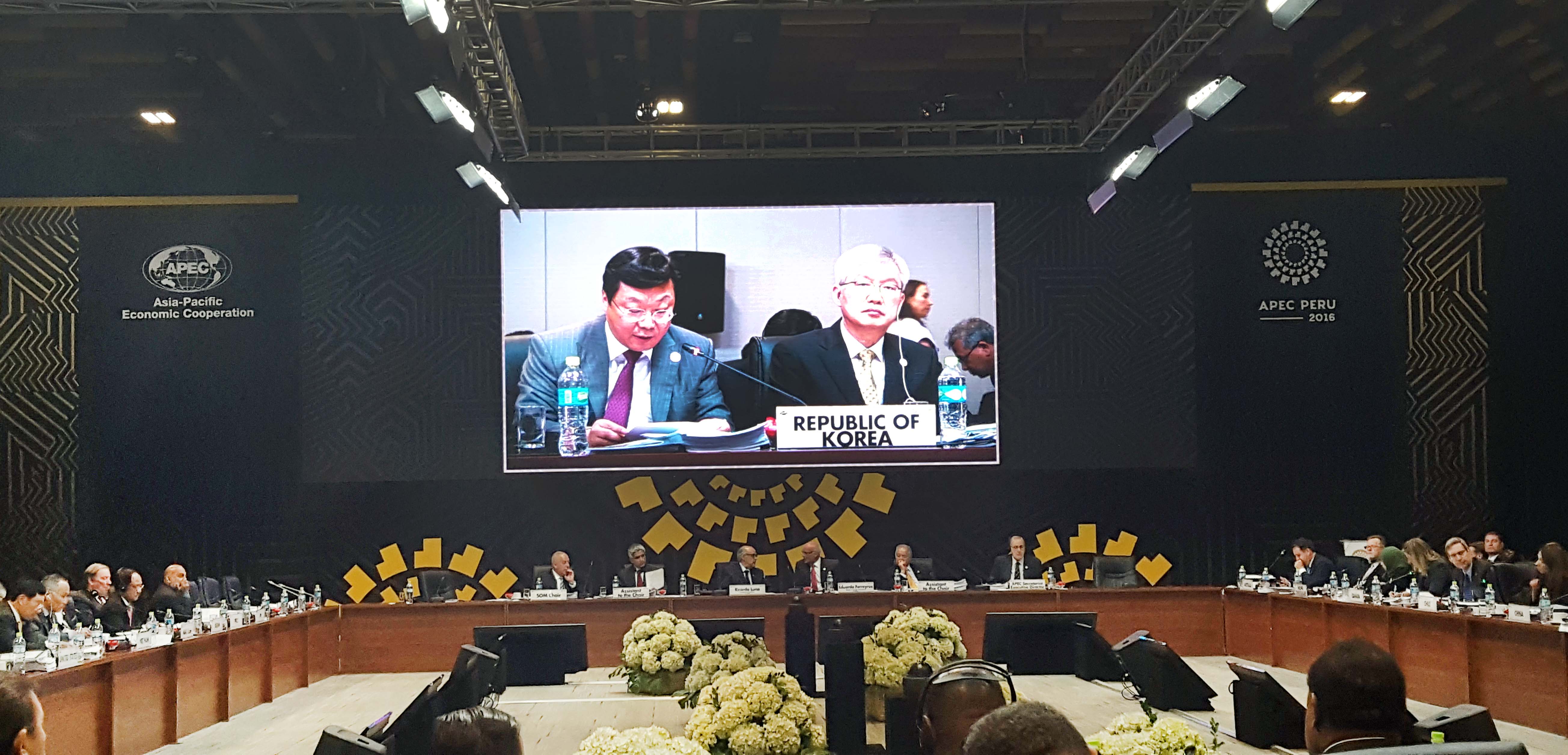 28회 아시아태평양경제협력체(APEC) 각료회의 2