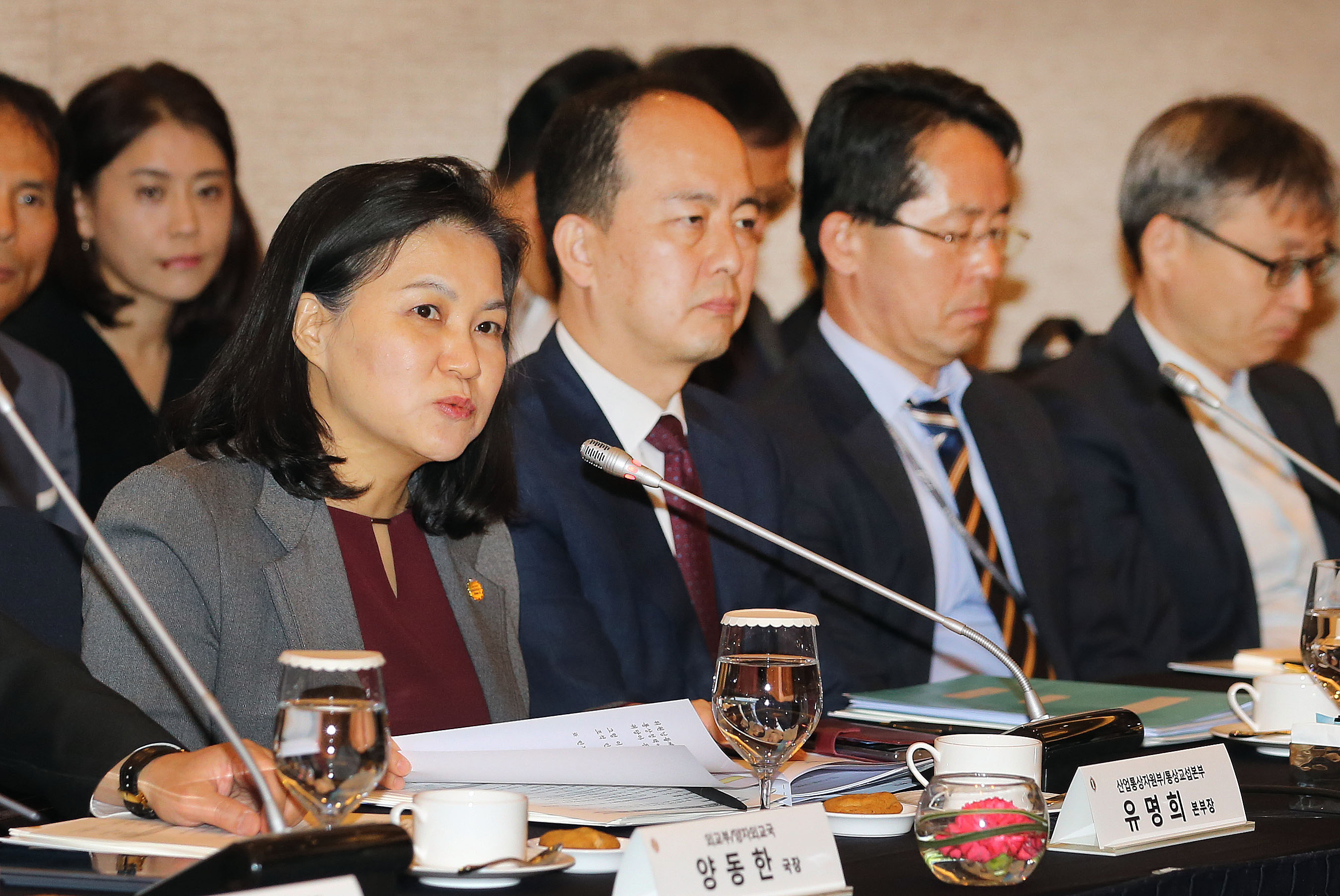 제30차 통상조약 국내대책위원회 개최 2