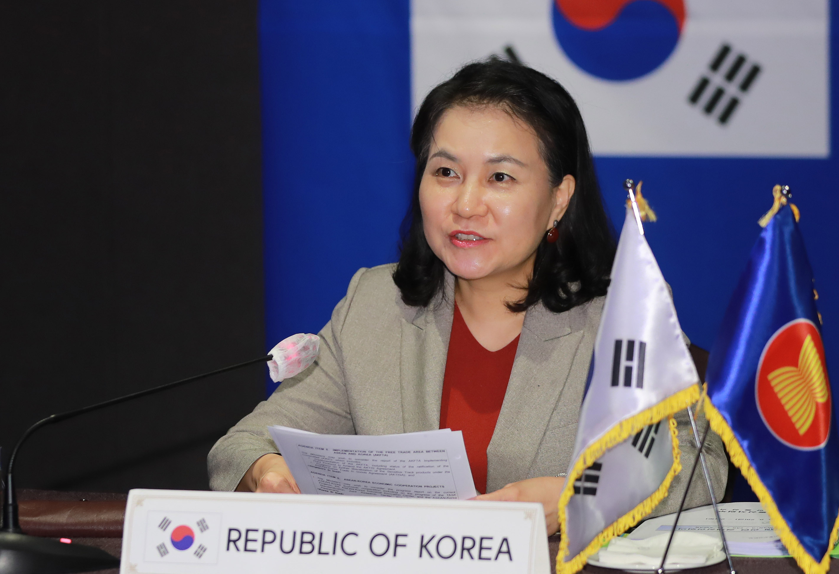 제17차 한-아세안 경제장관회의 2