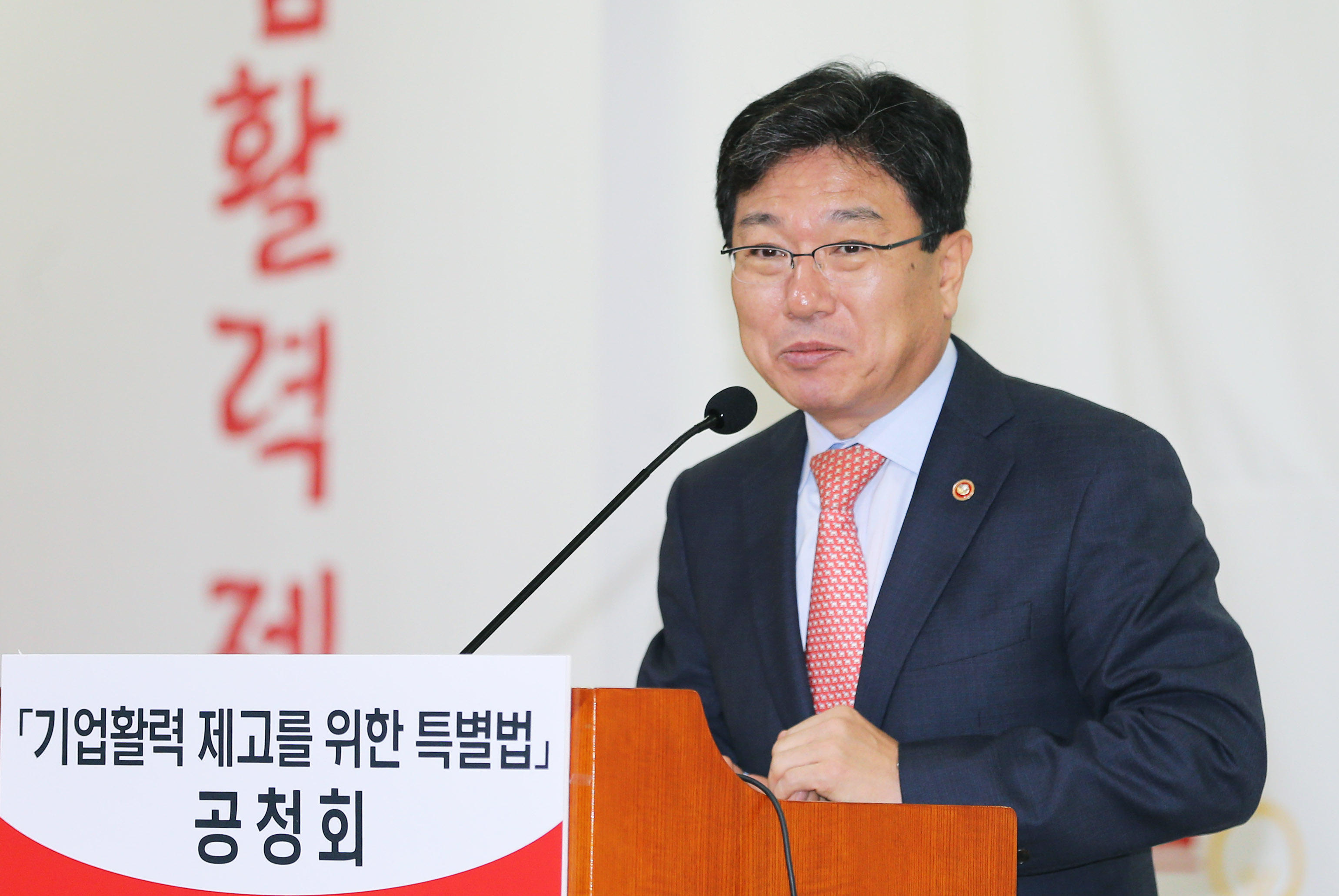 기업 활력 제고를 위한 특별법 공청회 2