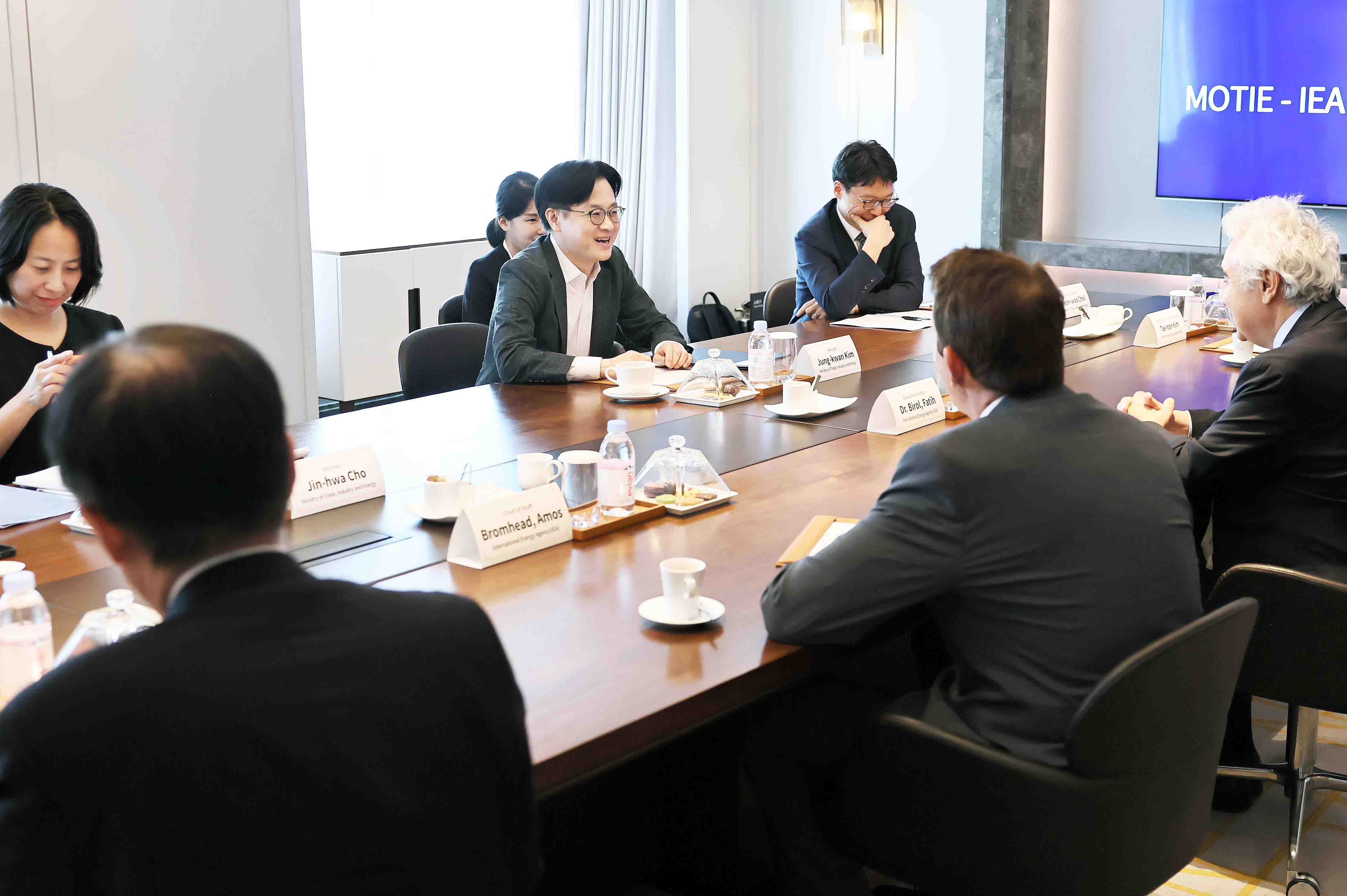 국제에너지기구(IEA) 사무총장 면담 4