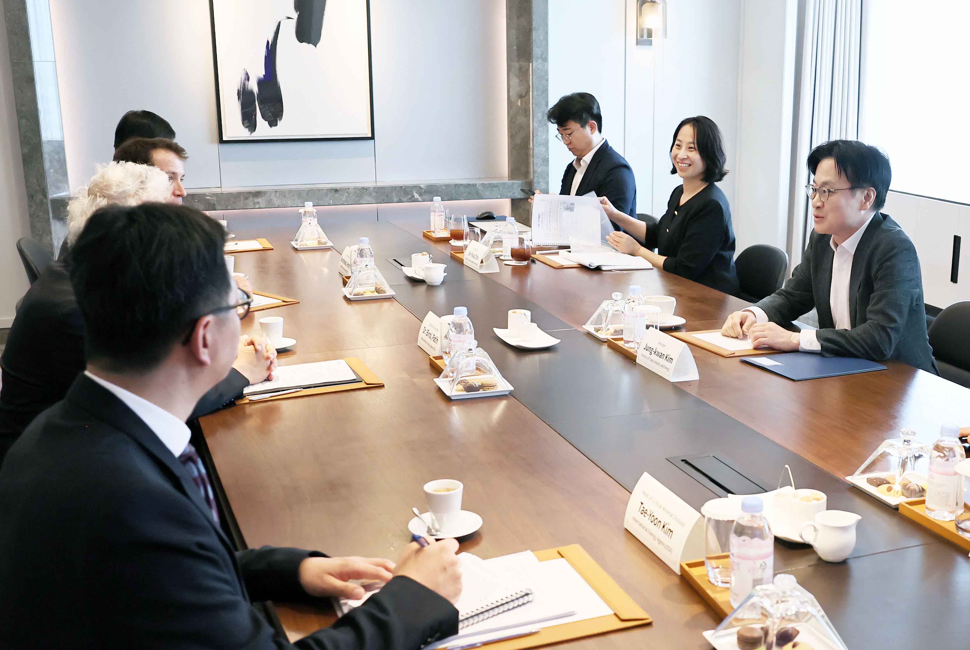 국제에너지기구(IEA) 사무총장 면담 3