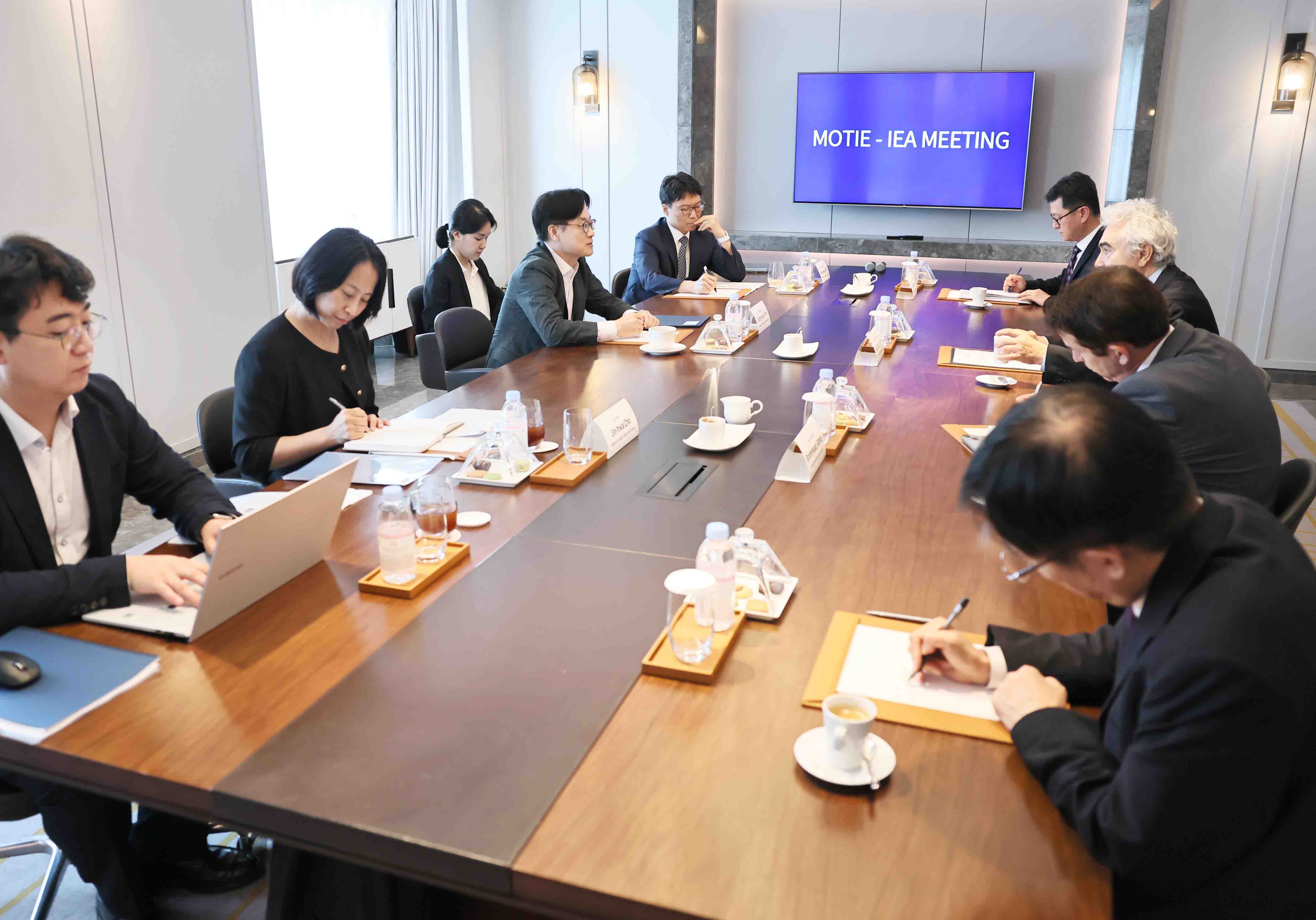 국제에너지기구(IEA) 사무총장 면담 5