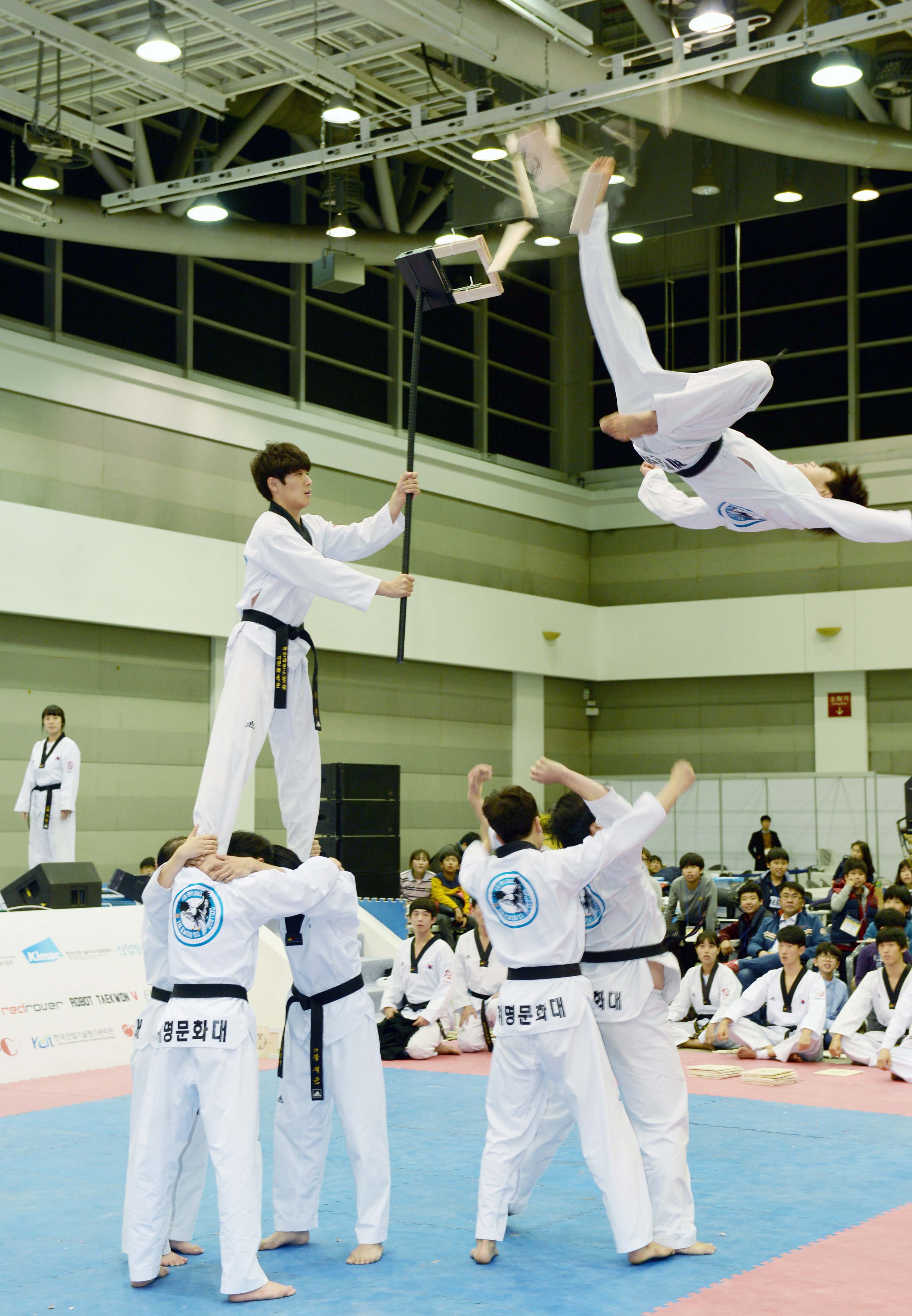 제8회 테크마니아 페스티벌 4