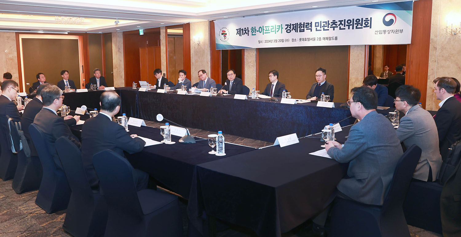 제1차 한-아프리카 경제협력 민관추진위원회 1