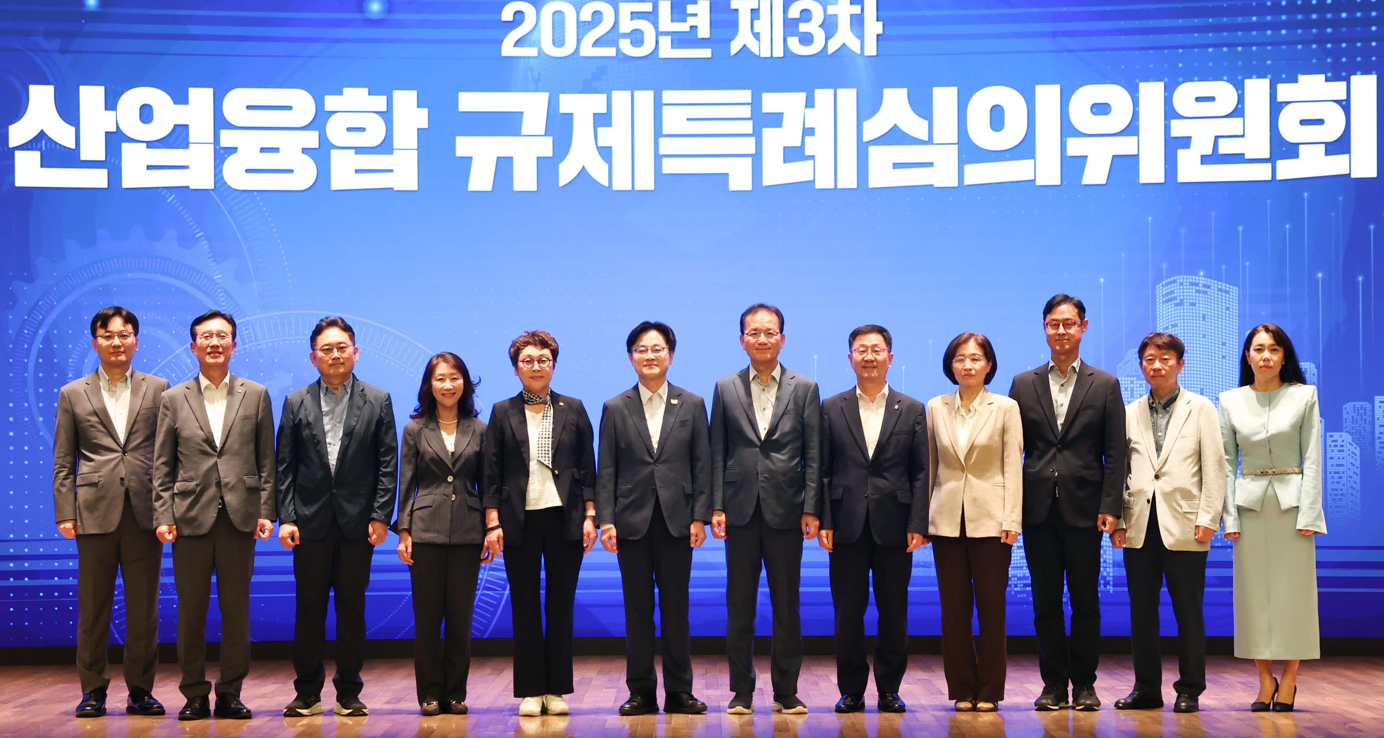 제3차 산업융합 규제특례 심의위원회 6