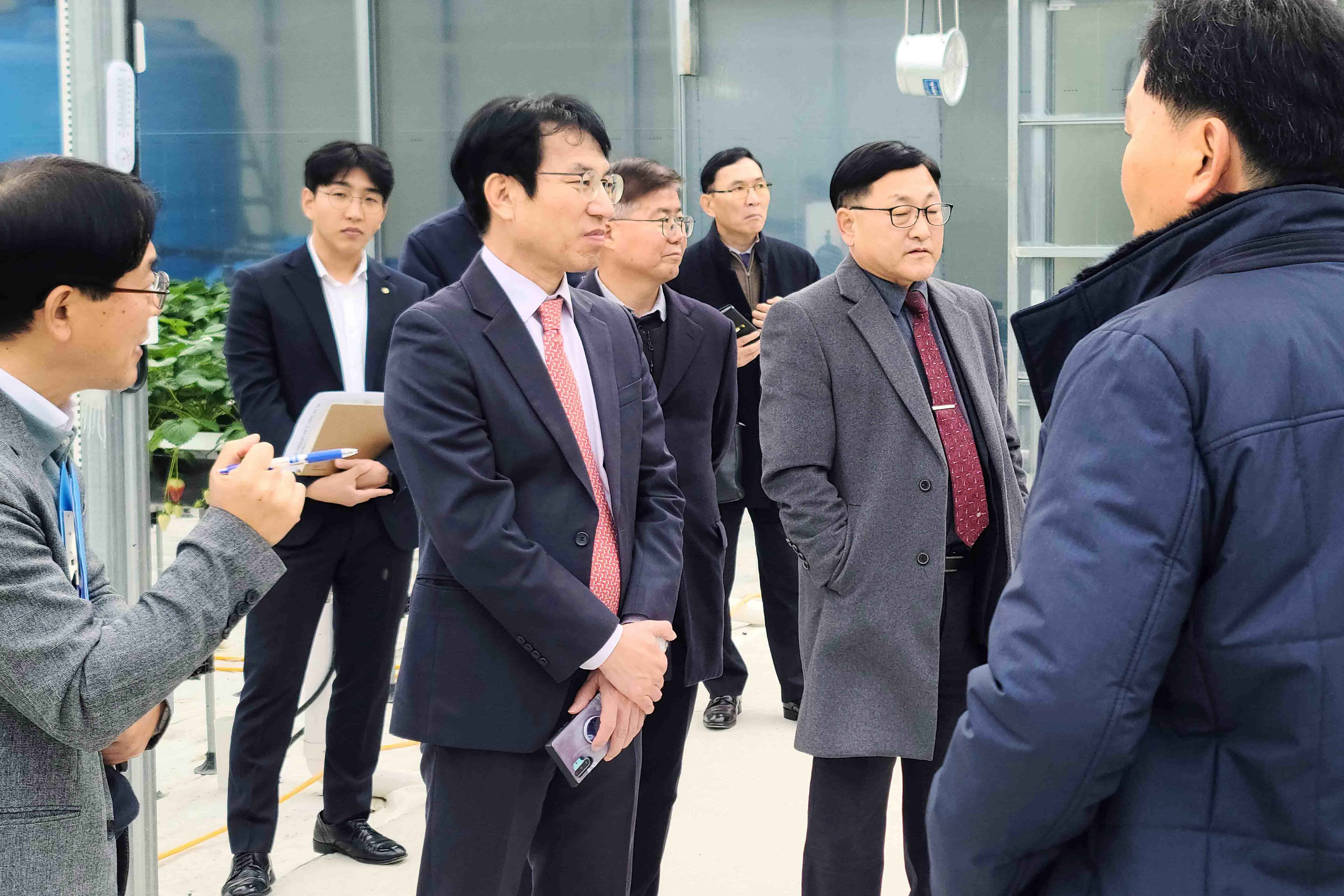 딸기 수출 현장방문 2