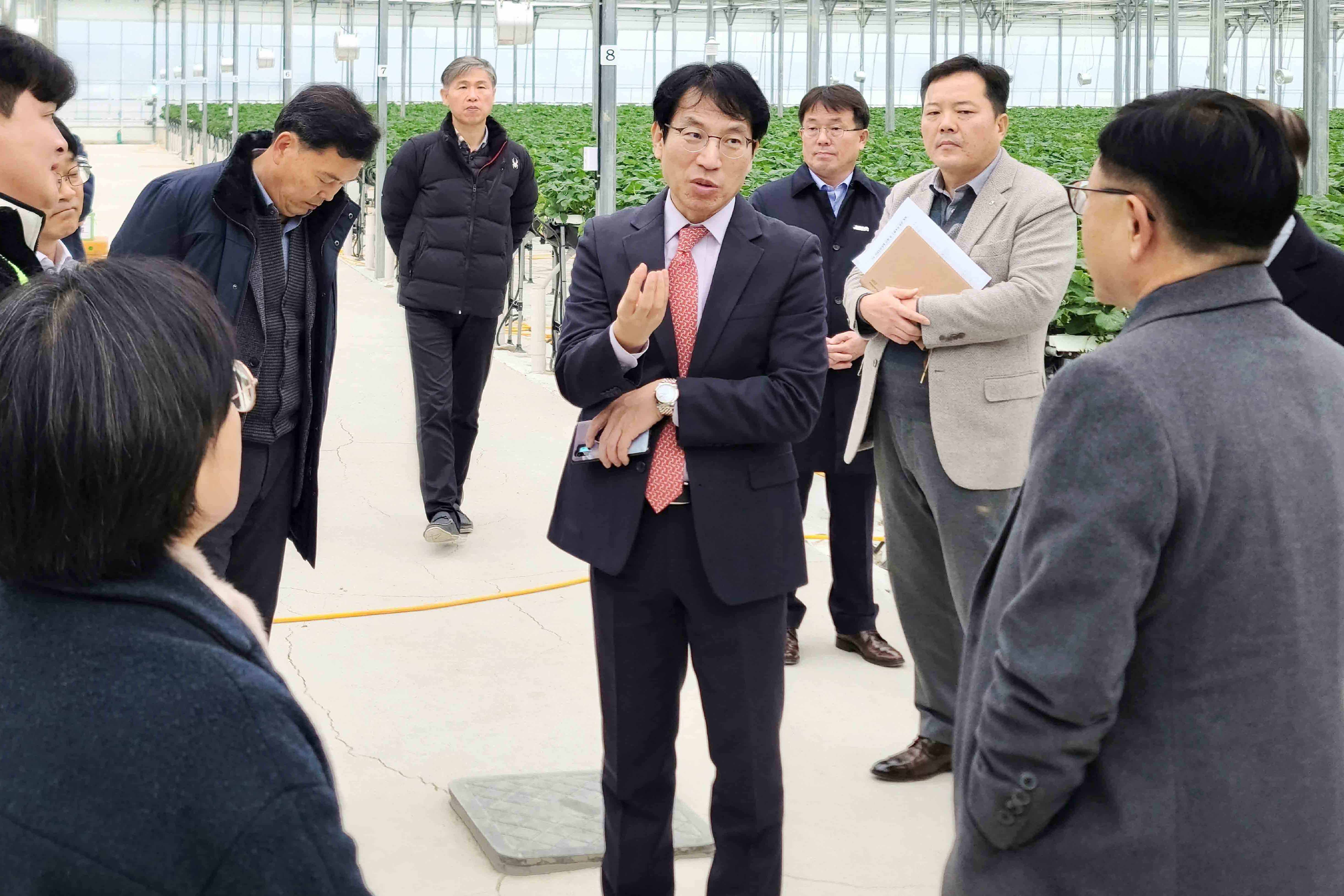 딸기 수출 현장방문 1
