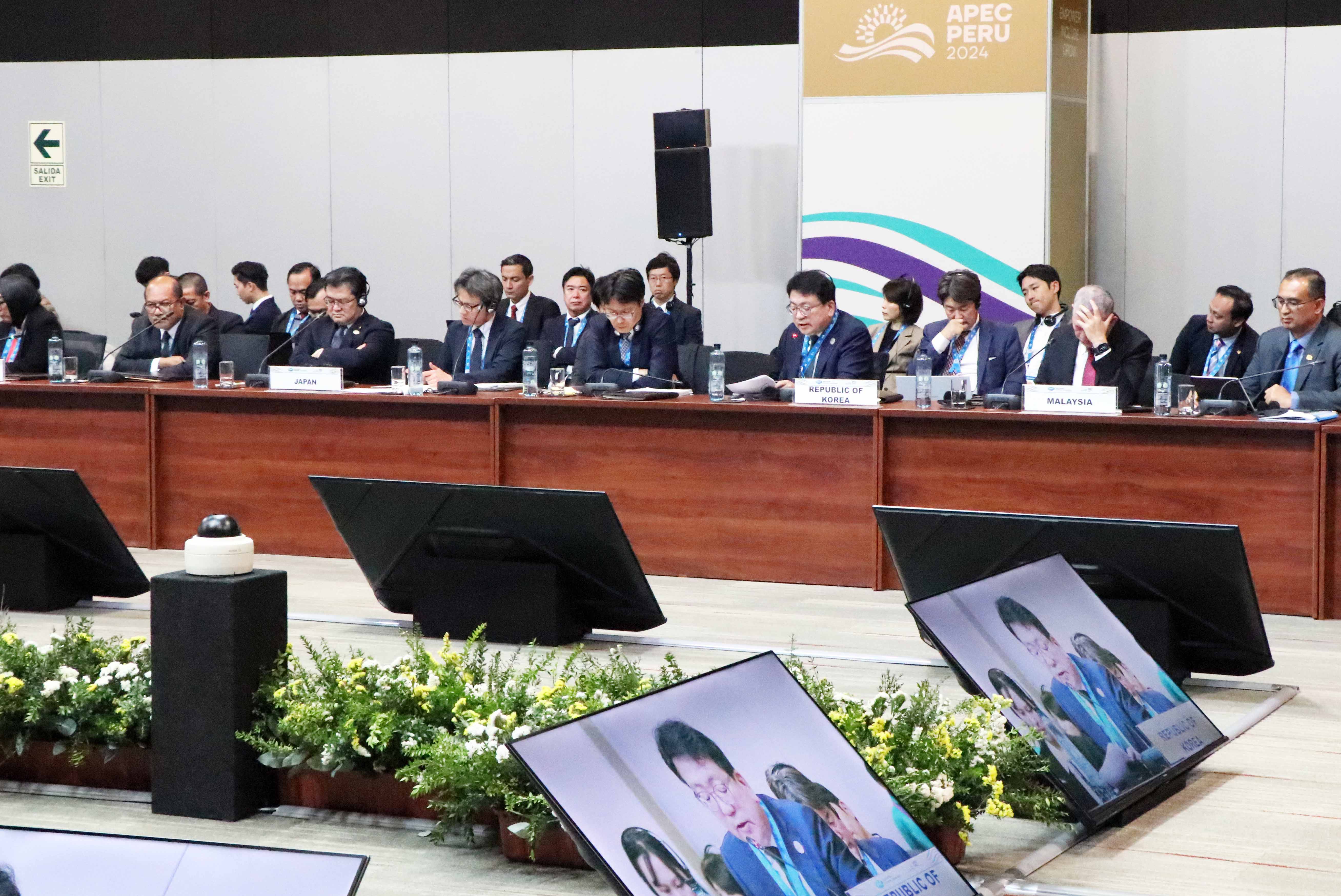 아시아태평양경제협력체(APEC) 에너지장관회의 3