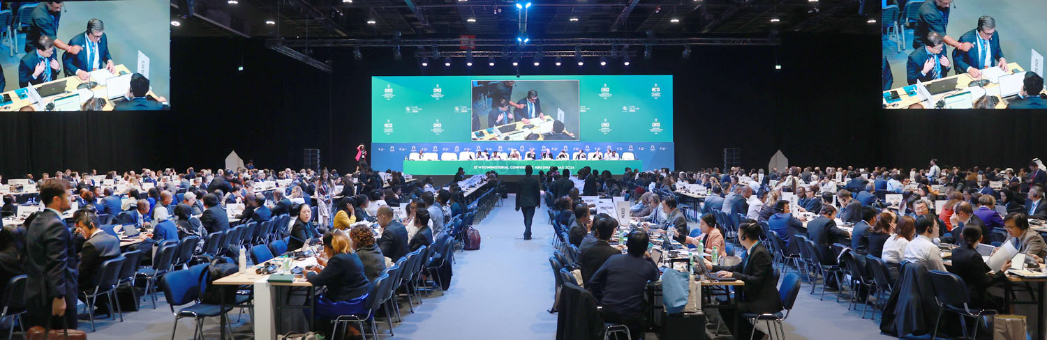 WTO 분쟁해결 개혁 세션 1