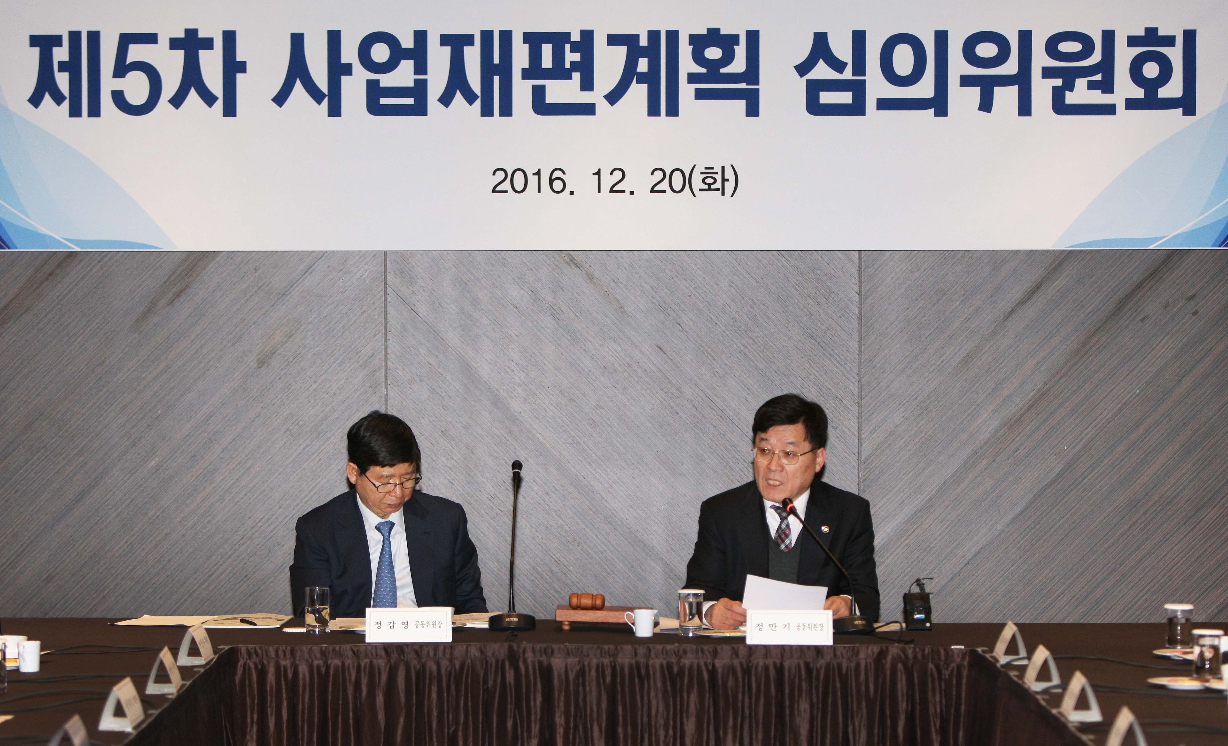 제5차 사업재편계획 심의위원회 5