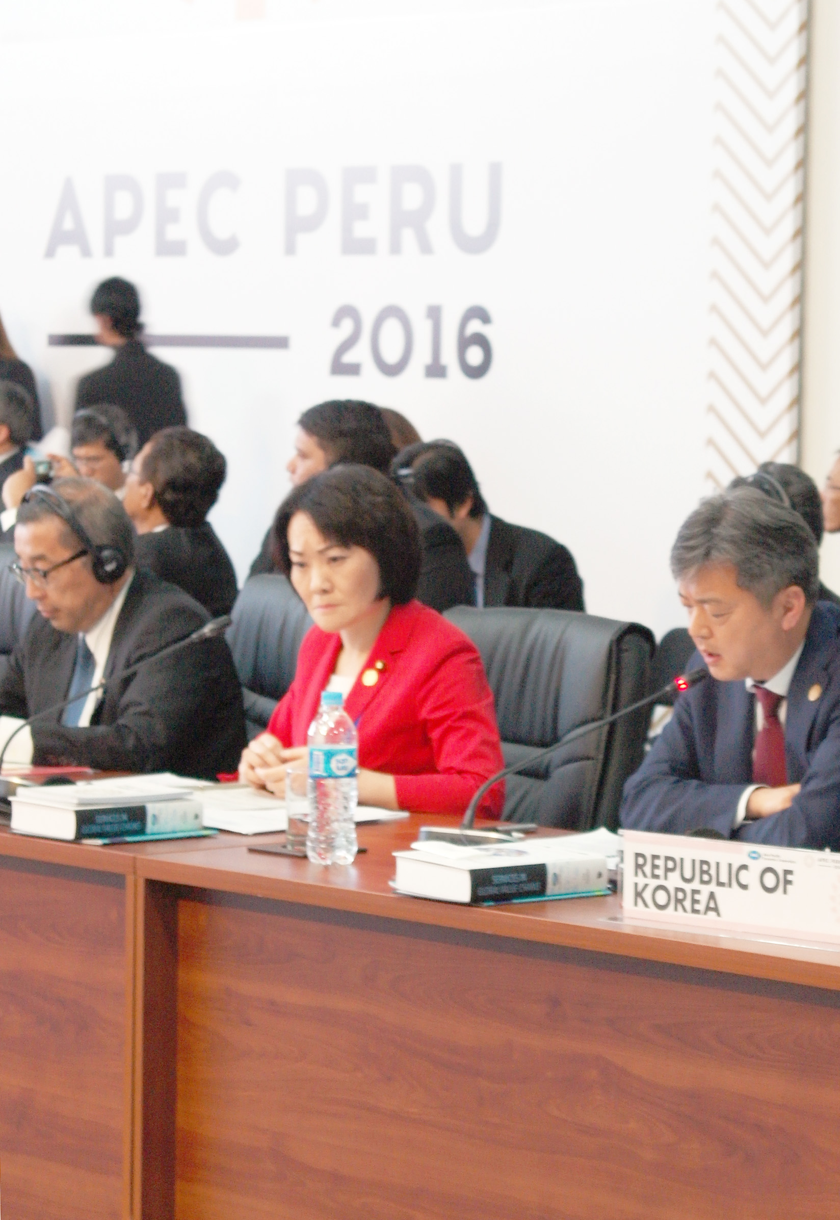 아시아태평양경제공동체(APEC) 통상장관회의  4