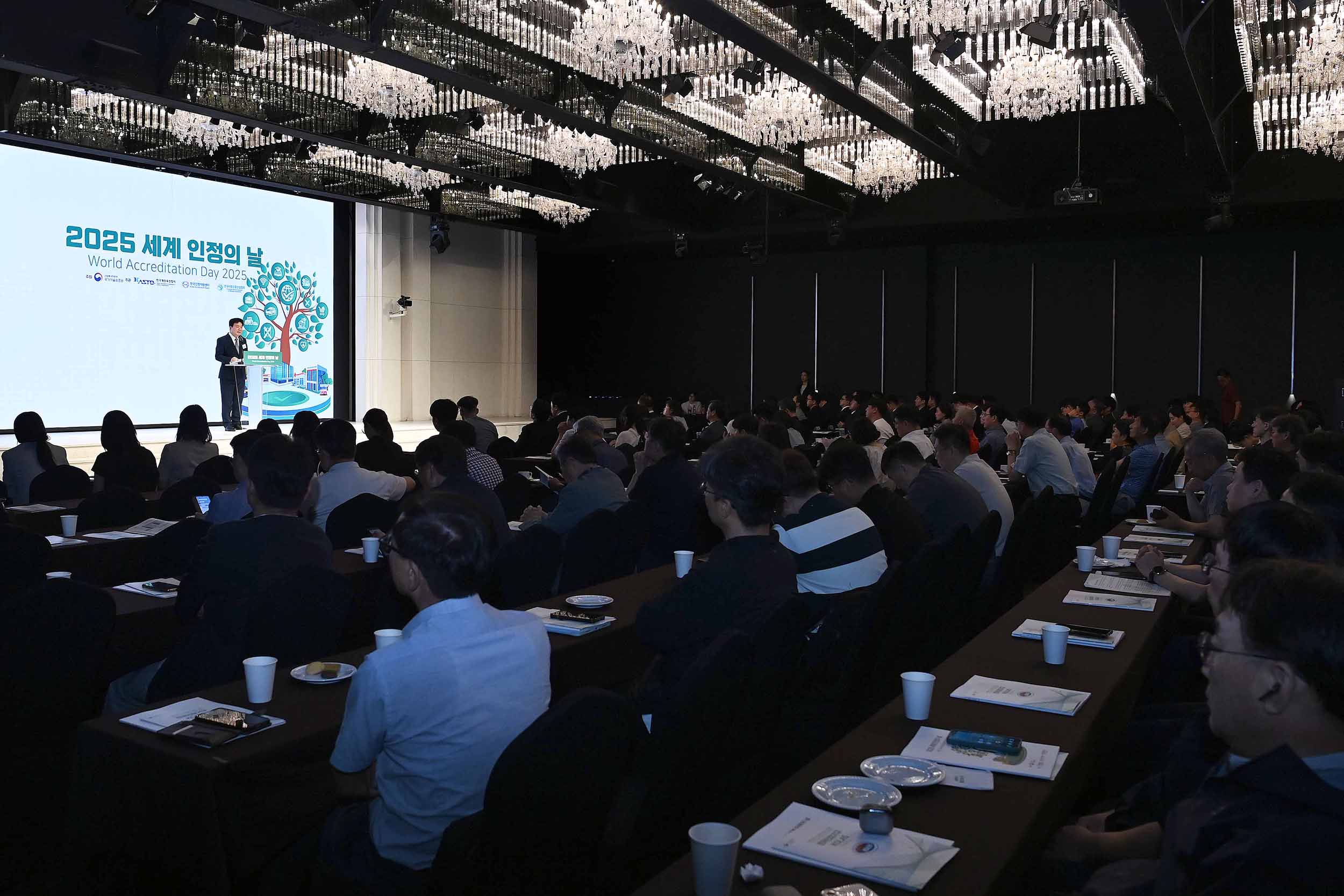 2025년 세계 인정의 날 기념식 2