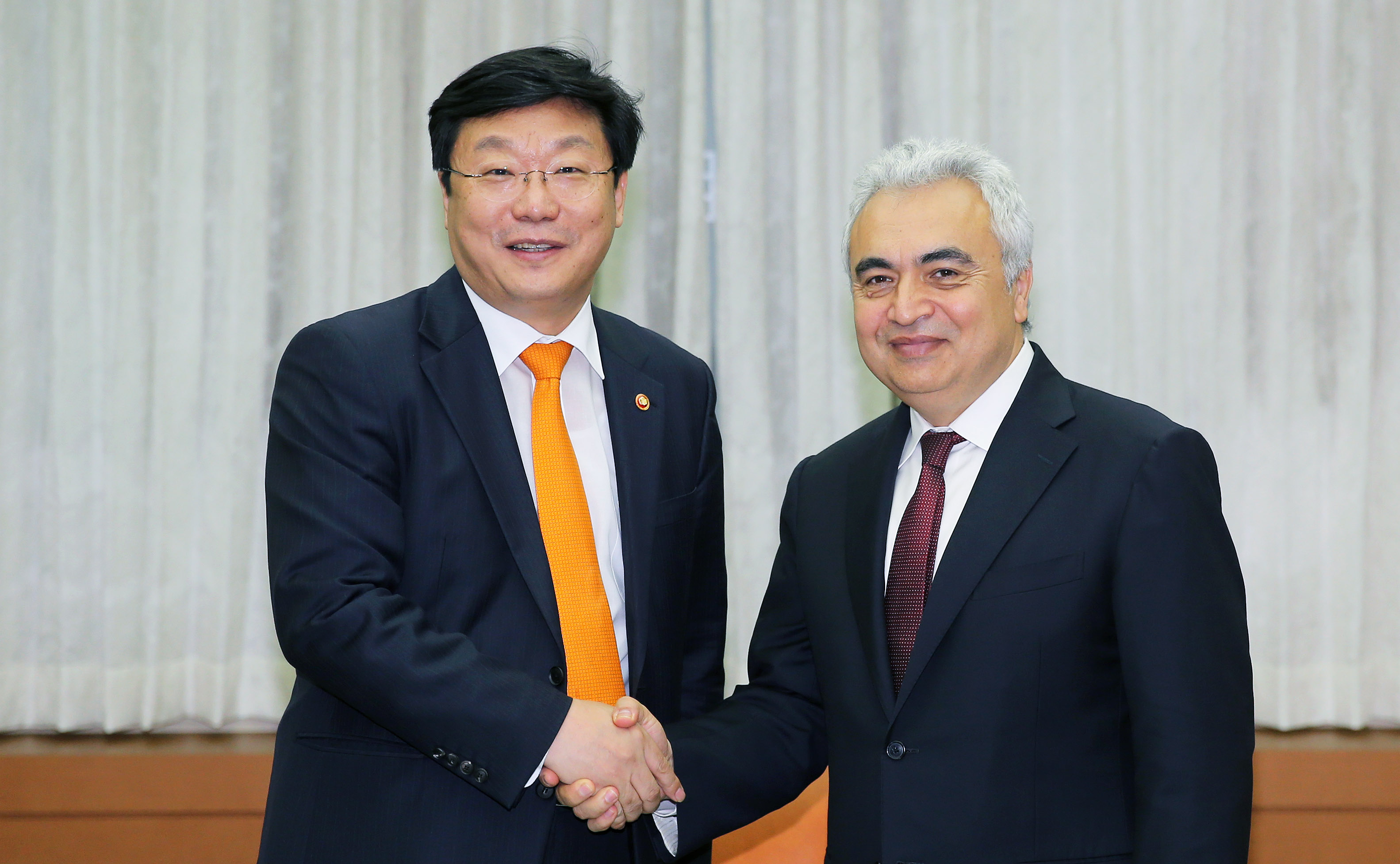 국제에너지기구(IEA) 사무총장 면담 1