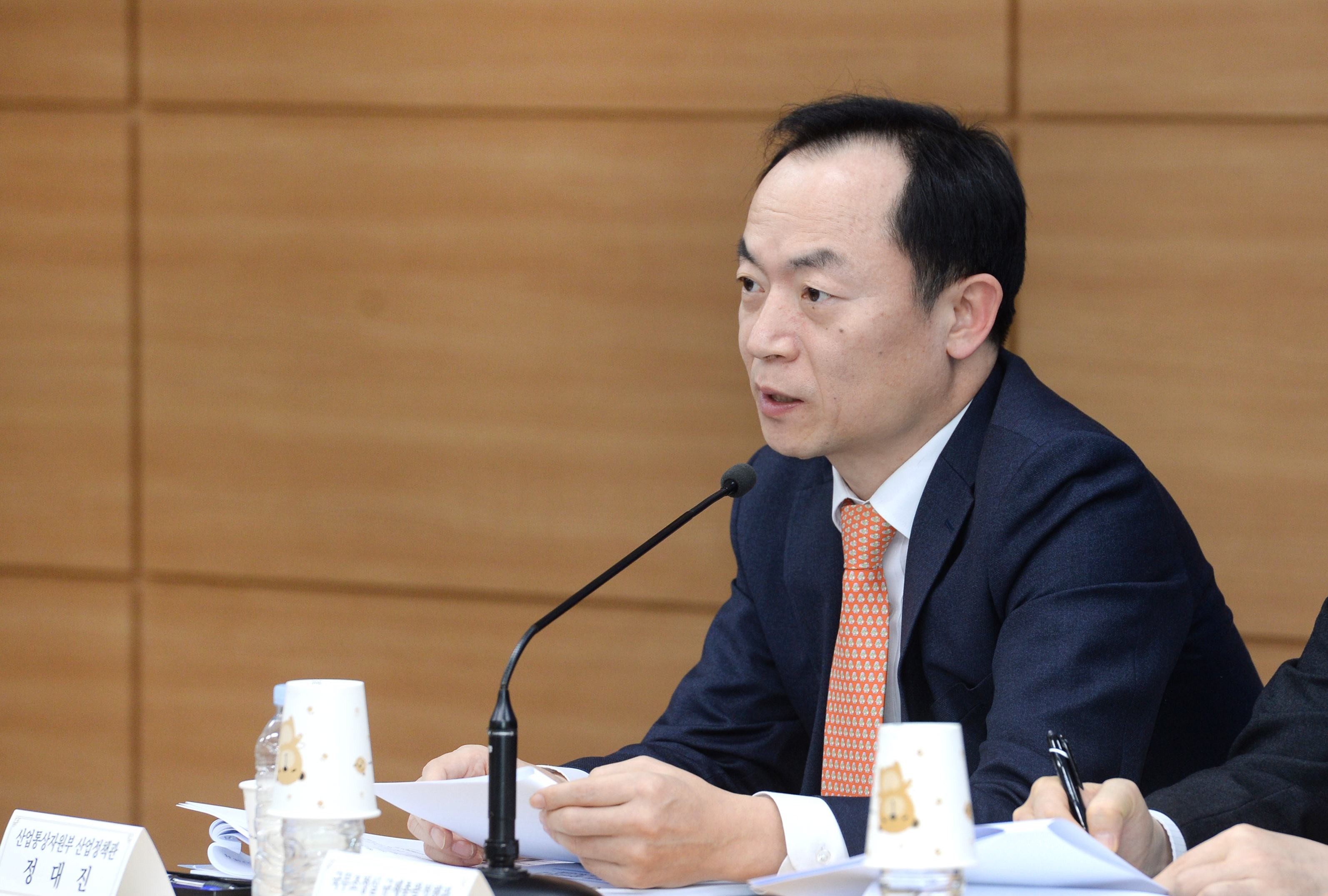 2018 정부업무보고 관련 사전 합동브리핑 3