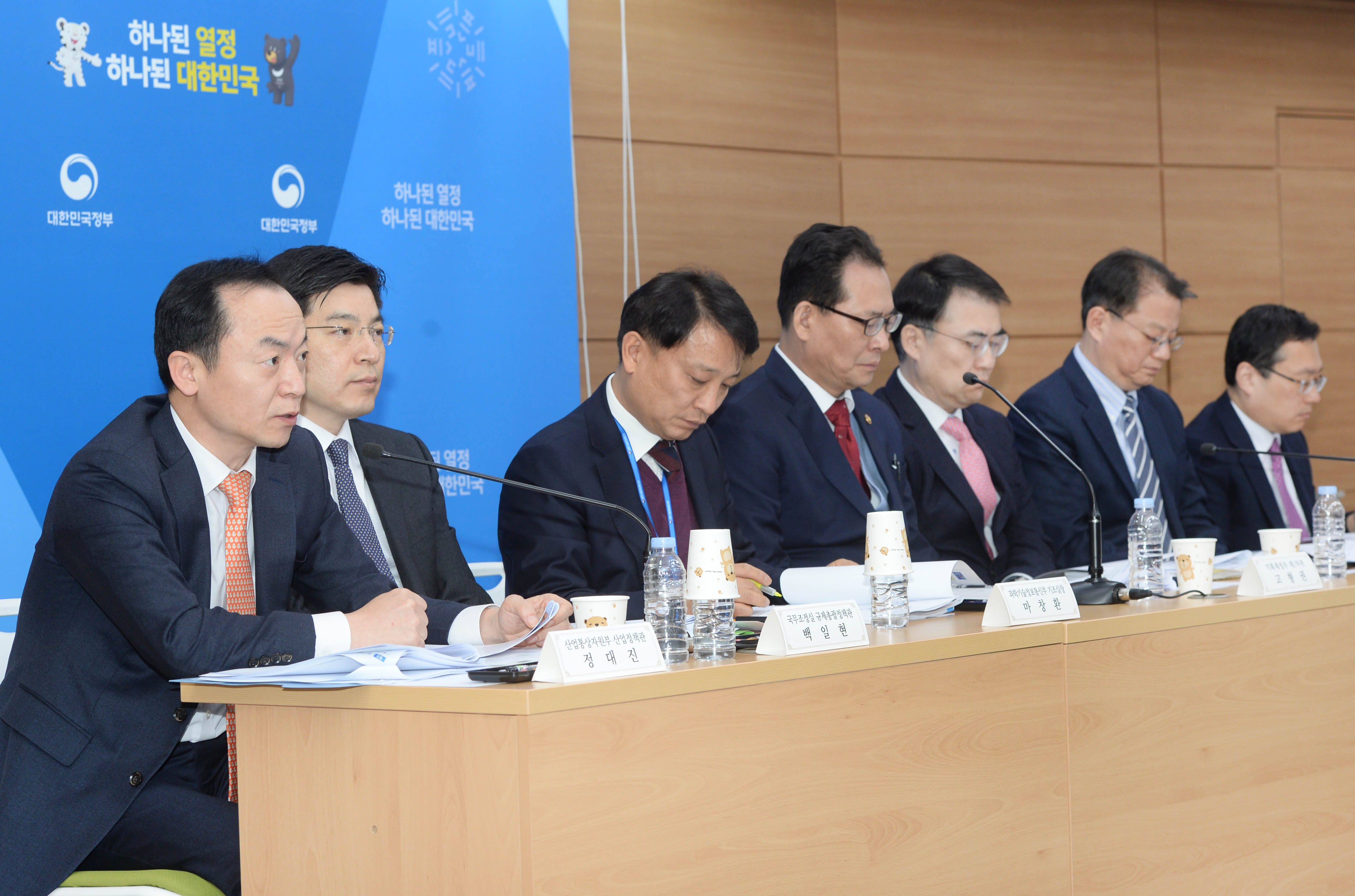 2018 정부업무보고 관련 사전 합동브리핑 5