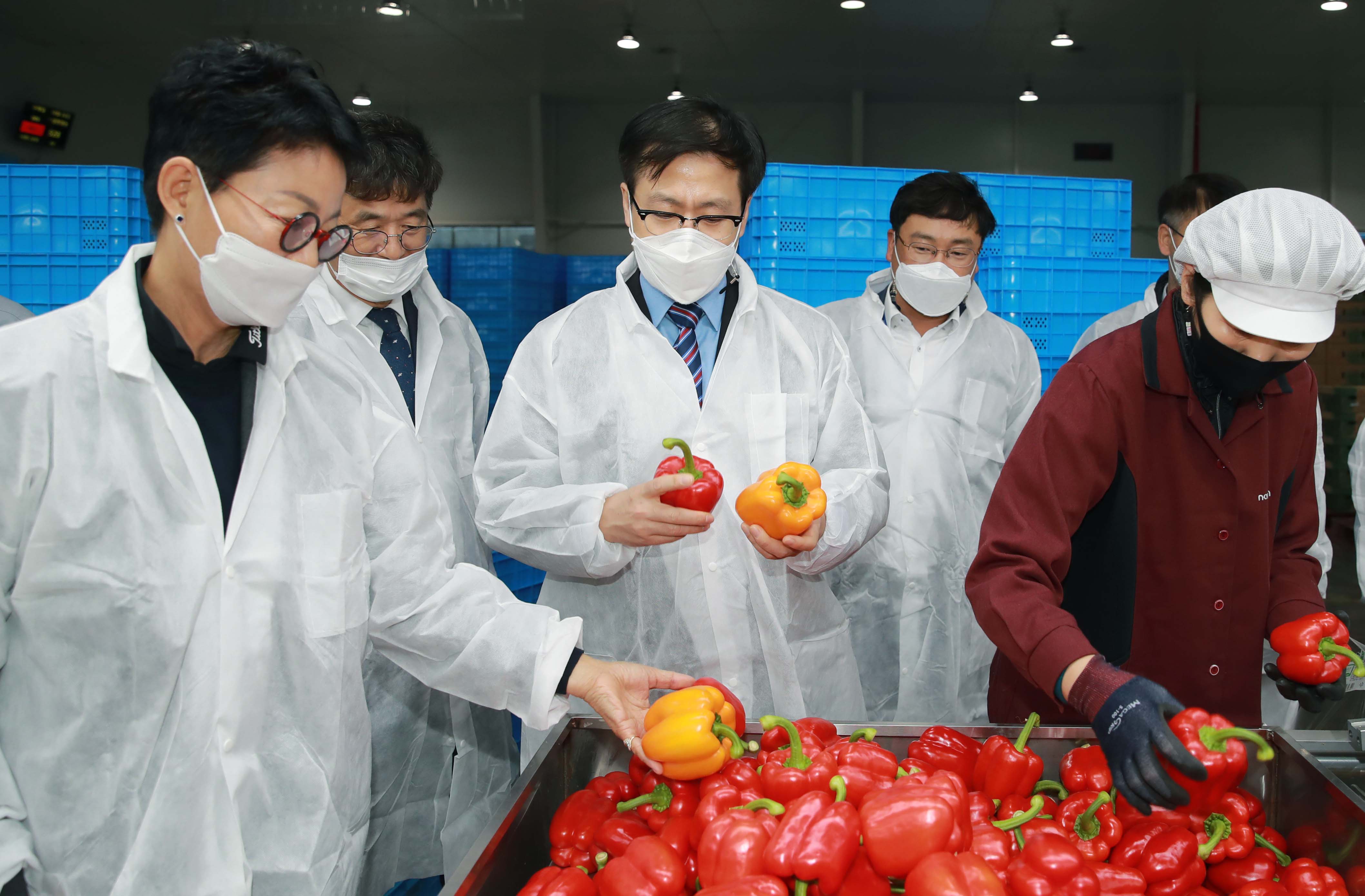 스마트팜을 활용한 농산물 수출기업 현장방문 4